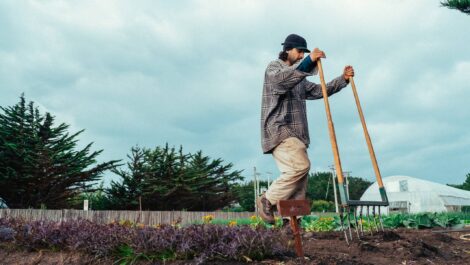 Create and Improve Good Soil Structure Image